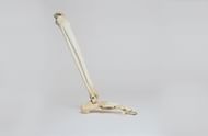 Calcium leads to improved bones. (Image via Unsplash/Nino Liverani)